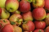 Яблоки снижают риск инфаркта
