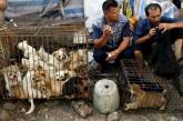 Ежегодный фестиваль собачьего мяса в Китае. ФОТО