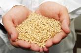 Украина попала в тройку крупнейших экспортеров зерна
