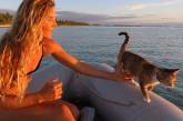 Девушка путешествует со своей кошкой и выкладывает фото из самых интересных уголков планеты