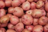 Беларусь отменила ограничение на ввоз картофеля из Украины