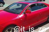 В Запорожье заметили собаку за рулем красного Audi. ФОТО