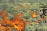 Ученые доказали пользу устраиваемых австралийскими аборигенами пожаров