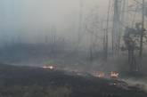 В лесничестве в Харьковской области горят деревья и дома: огонь охватил площадь 80 гектаров. ФОТО