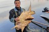 В Херсонской области мужчина на курорте поймал крупную черепаху. ФОТО