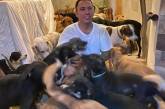 Работник мексиканского приюта спас от урагана 300 кошек и собак. ФОТО