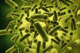 Основным источником опасных бактерий является сам человек