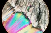 Удивительные снимки некоторых вещей под микроскопом. ФОТО