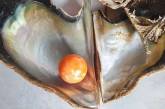 Бедны рыбак нашел уникальную жемчужину, оцененную в 300 тысяч долларов, в Таиланде. ФОТО
