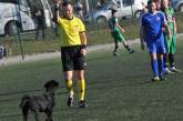 Собака на футбольном поле получила “красную карточку” от арбитра. ФОТО