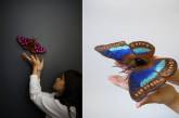 Вышитые мотыльки и бабочки от Юми Окита. ФОТО