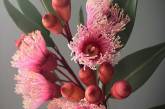 Сахарные цветы от Мишель Нгуен, которые выглядят очень реалистично. ФОТО