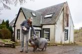 130-килограммовая свинья живет в доме, так как на улице слишком холодно. ФОТО
