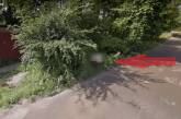 В Харькове Google Maps опубликовали мужчину, который справляет нужду в кустах. ВИДЕО