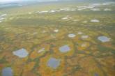 Самое большое болото в мире. ФОТО