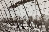 Цирковое представление с участием 18 слонов, конец 19-го века. ФОТО
