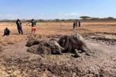 Семью африканских слонов удалось вытащить из грязной лужи в Кении (ФОТО)