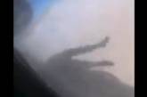 Появилось видео попытки афганца улететь на фюзеляже самолета (ВИДЕО)