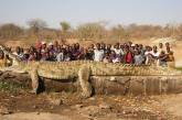 Крокодил, длина которого 22 метра. ФОТО