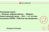 Сала много не бывает: веселая подборка анекдотов о любимом лакомстве украинцев (ФОТО)