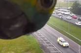 Попугай устроил игру в гляделки с камерой дорожного движения (ВИДЕО)