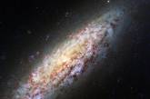 Астрофизики получили впечатляющее изображение галактики NGC 6503