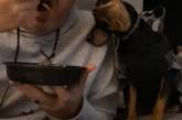 Владелец поделился видео с собакой виртуозно выпрашивающей еду 