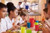 Как выглядят школьные обеды в разных странах мира (ФОТО)