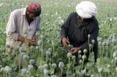 Миллион афганцев – наркозависимы