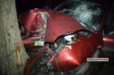 В Николаева «Ланос» врезался в дерево — водитель погиб 