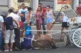 В Одессе из-за сильной жары лошадь упала в обморок