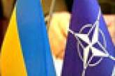 Демократия на Украине может помешать ее вступлению в НАТО