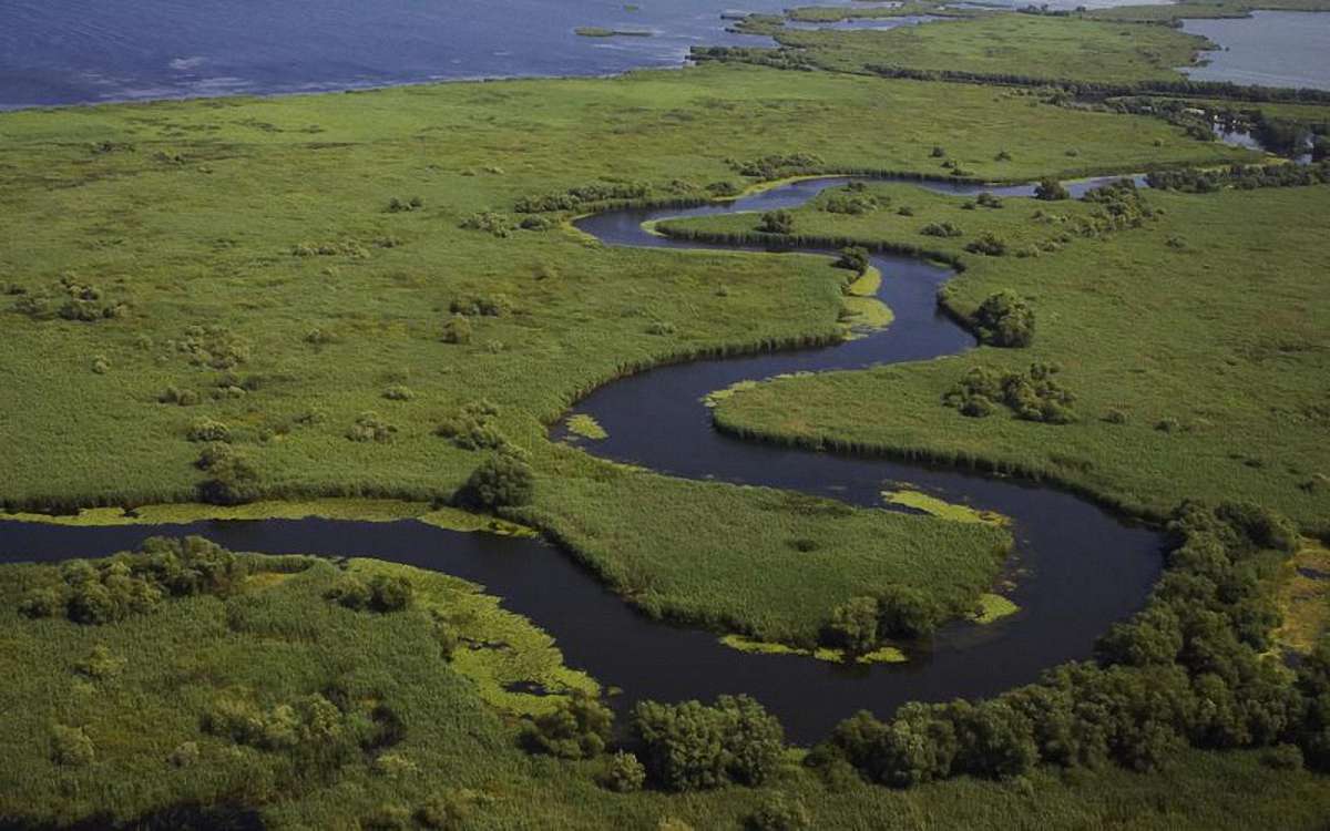 Природа восстанавливается восхитительно быстро -  в Украине спасают болота в дельте Дуная