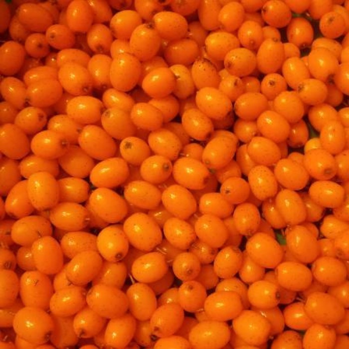 Эта ягода покорила весь мир: она замедляет старение и предотвращает рак Эта ягода покорила весь мир: она замедляет старение и предотвращает рак