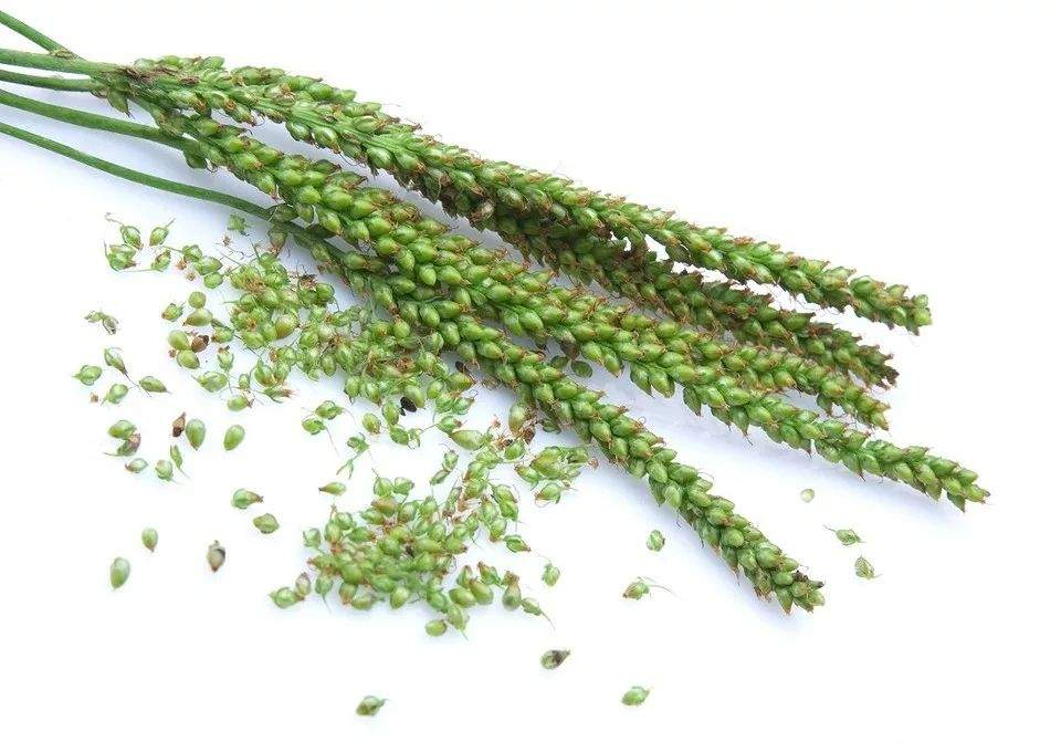 Учёные нашли идеальный продукт для борьбы с «тихим убийцей» Учёные нашли идеальный продукт для борьбы с «тихим убийцей»