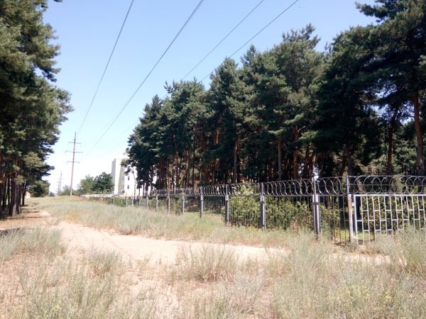Приватизація та знищення лісу з профілакторієм «Океан» у Миколаєві? Черговий злочин мерсько-депутатської банди