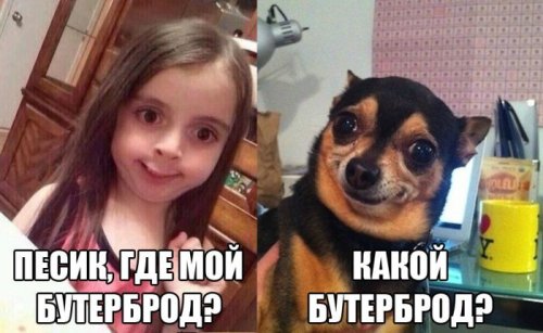 Где мой бутерброд?