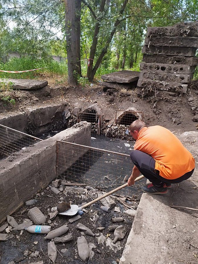 В Николаеве спасли ежа из канализационного коллектора В Николаеве спасли ежа из канализационного коллектора