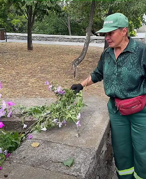 У Миколаєві невідомі знищили квіти на клумбах (відео) У Миколаєві невідомі знищили квіти на клумбах (відео)