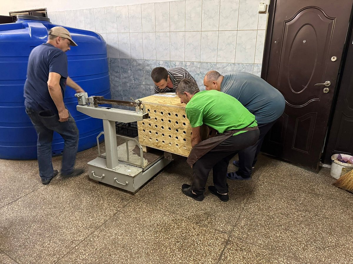 До Миколаївського зоопарку прибули сейшельські гігантські черепахи (фото) До Миколаївського зоопарку прибули сейшельські гігантські черепахи (фото)