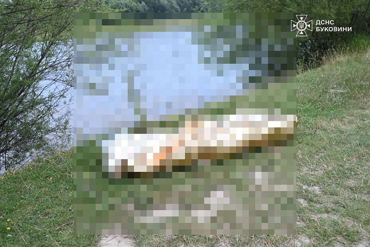 В Черновцах нашли тело 8-летнего ребенка, который ночью ушел из дома В Черновцах нашли тело 8-летнего ребенка, который ночью ушел из дома