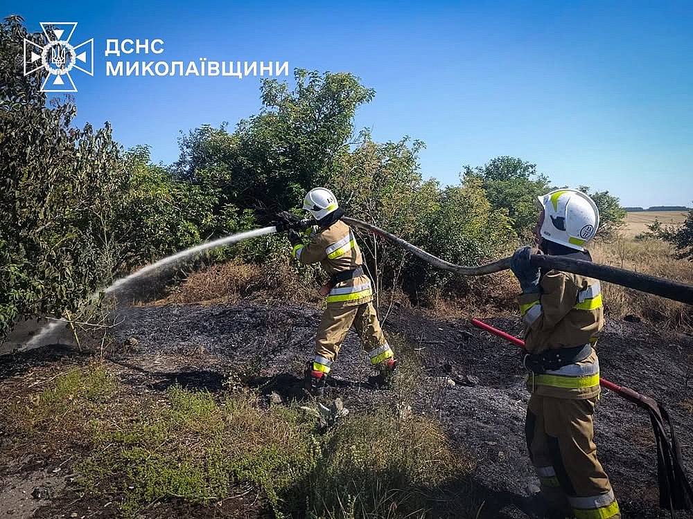 В Николаевской области за сутки зарегистрировали 31 пожар: огонь уничтожил 1,5 га пшеницы В Николаевской области за сутки зарегистрировали 31 пожар: огонь уничтожил 1,5 га пшеницы