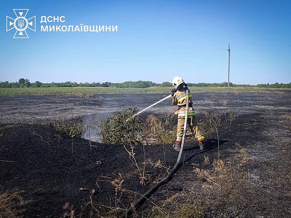 В Николаевской области за сутки зарегистрировали 31 пожар: огонь уничтожил 1,5 га пшеницы В Николаевской области за сутки зарегистрировали 31 пожар: огонь уничтожил 1,5 га пшеницы
