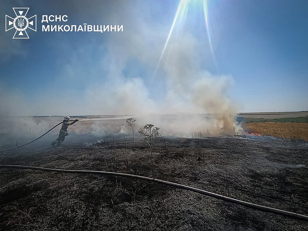 В Николаевской области за сутки зарегистрировали 31 пожар: огонь уничтожил 1,5 га пшеницы В Николаевской области за сутки зарегистрировали 31 пожар: огонь уничтожил 1,5 га пшеницы