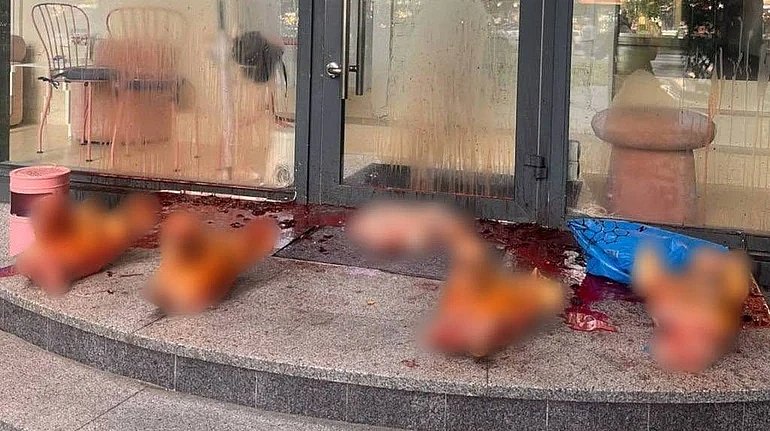 В Киеве у салона красоты оставили отрезанные головы и внутренности свиней: полиция открыла дело В Киеве у салона красоты оставили отрезанные головы и внутренности свиней: полиция открыла дело