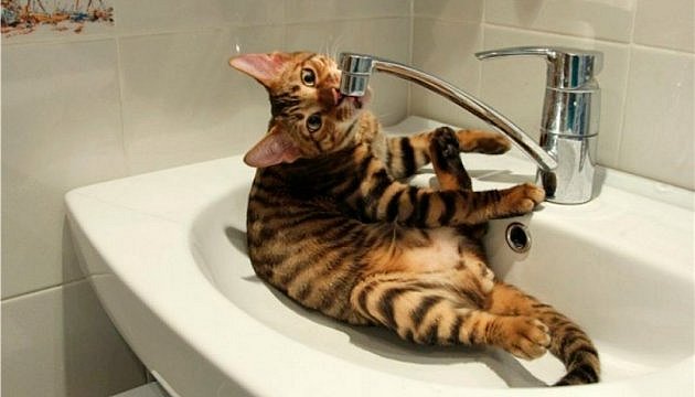 В Вознесенске вводят график отключения воды В Вознесенске вводят график отключения воды