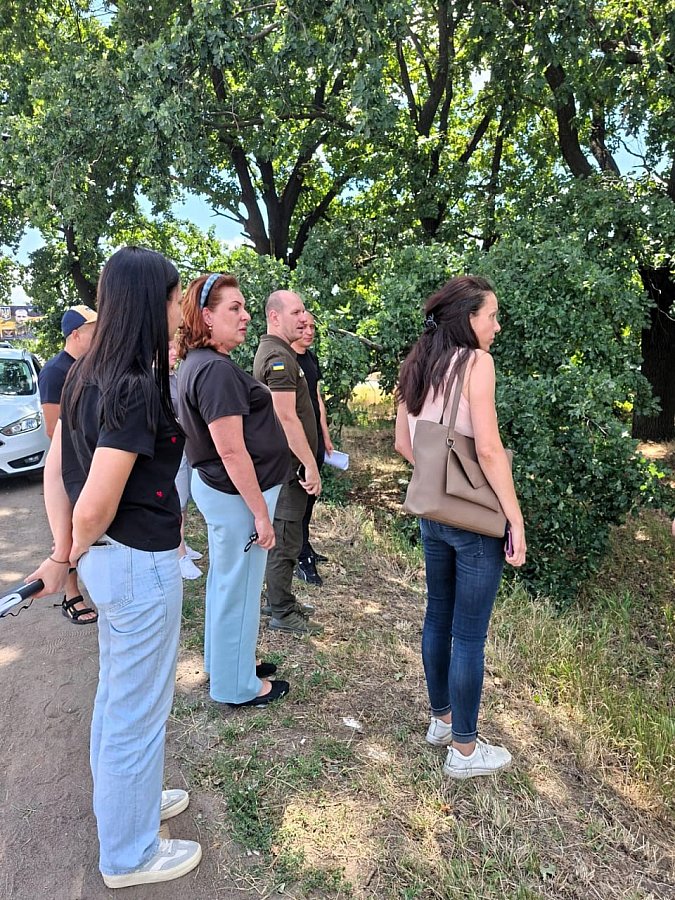 У Вознесенську пошкодили 170-сантиметровий дуб: інспектори склали протоколи У Вознесенську пошкодили 170-сантиметровий дуб: інспектори склали протоколи