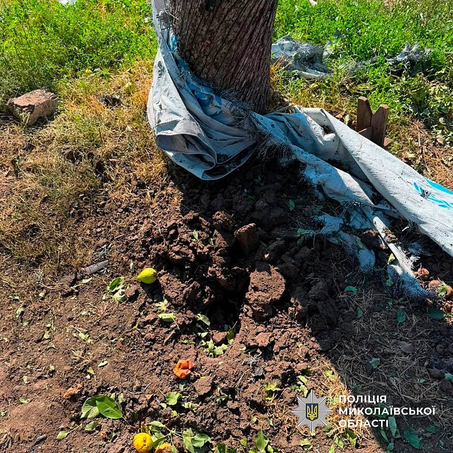 Разрушенный дом, раненые супруги: опубликованы фото последствий удара по Николаевщине Разрушенный дом, раненые супруги: опубликованы фото последствий удара по Николаевщине