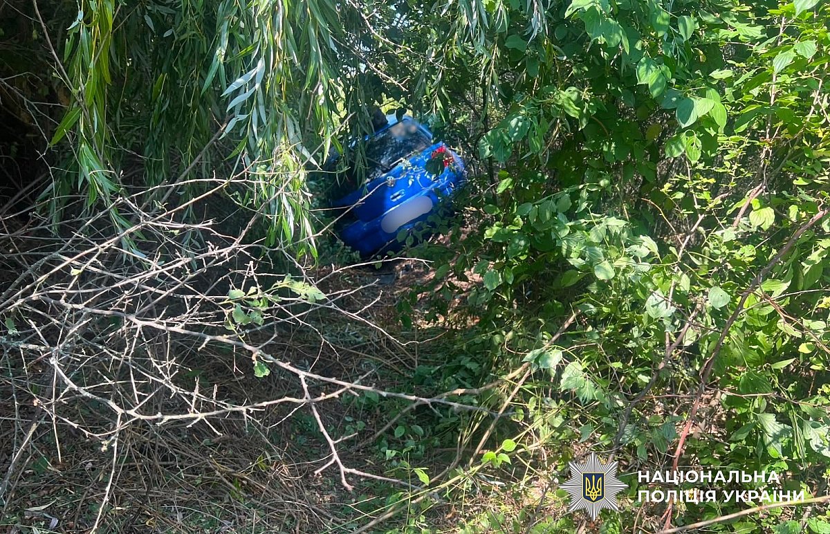 Под Новым Бугом Volkswagen съехал в кювет: пострадал подросток Под Новым Бугом Volkswagen съехал в кювет: пострадал подросток