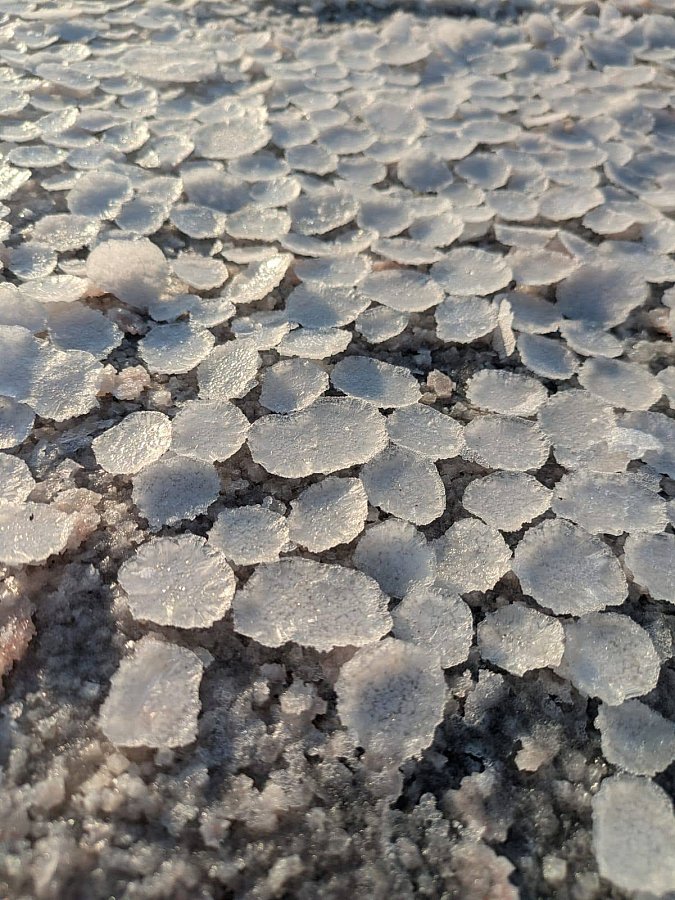 В Николаевской области из-за жары мелеет озеро Солонец-Тузлы (фото) В Николаевской области из-за жары мелеет озеро Солонец-Тузлы (фото)